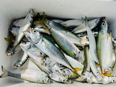 -旺角小渔村·海肠捞饭开创者(环山路店)