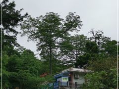 -广州市流溪河国家森林公园