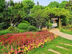 -后襄河公园