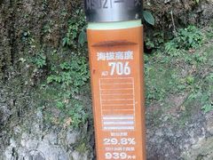 -峨眉山报国寺