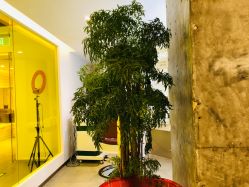 -AYO SALON