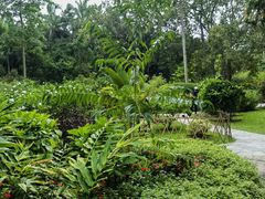 -中国科学院西双版纳热带植物园