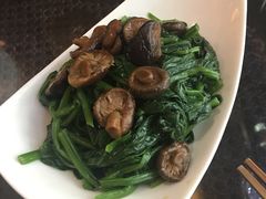 西藏野生珍珠菌菠菜-五观堂素食(新华路店)