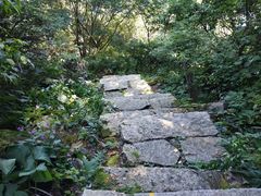 -尧山风景区