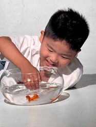 点击看大图 -大树儿童摄影