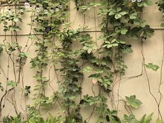 -Osteria Garden 生蚝花园餐厅(原进贤路店)