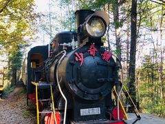 -五营红松林海景区