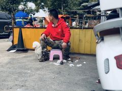 -瑞鹏宠物医院·骨外科·心肾科·肿瘤科(九亭店)
