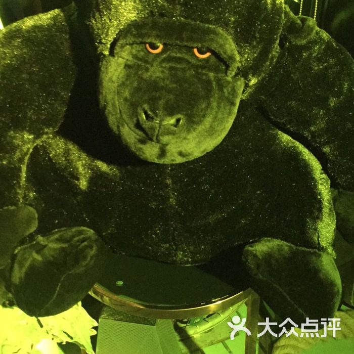 king coin 猩王部落 量贩ktv