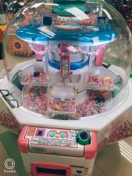 -莫莉幻想儿童乐园(泉州新天店)