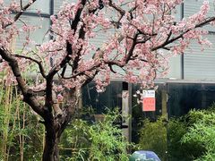 景观位-桂满陇天书(南京德基旗舰店)
