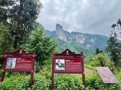 -鹿院坪生态旅游景区