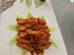 香煎蚕丝菌-星海一品