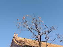 -故宫博物院(故宫)