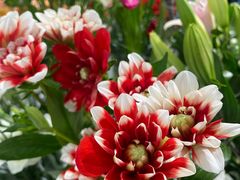 -森野花艺培训·企业团建活动沙龙