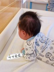 -海豚湾高端月子会所(黄浦店)