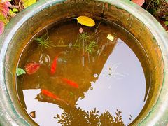 -默迹咖啡馆