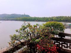 -湖畔居茶楼(湖滨店)