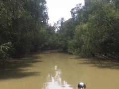 -大湾区中央湿地公园