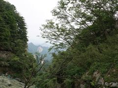 -洛阳白云山景区