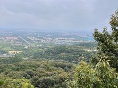 -北京西山国家森林公园