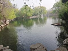 -百脉泉景区