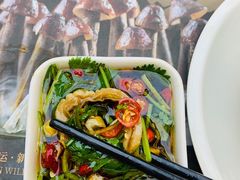 猪肚-顺德公猪肚鸡·椰子鸡(惠东天虹店)