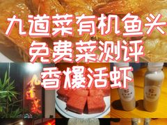 -九道菜有鸡鱼头(石鼓路店)