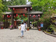 -合肥滨湖国家森林公园