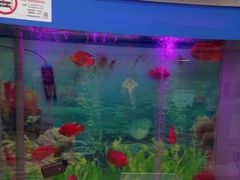 -雅悦齿科(顾村公园店)