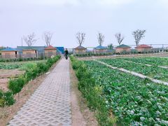 -上海崇明金茂凯悦酒店