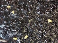 -得意楼蒸菜馆