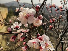 -蟠龙山长城景区