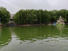 -团结湖公园