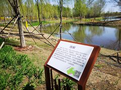 -东郊湿地公园