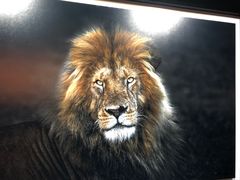 -罗红摄影艺术馆