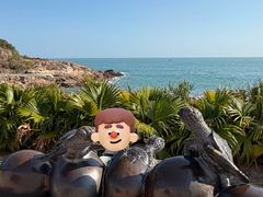 -广东惠东海龟国家级自然保护区
