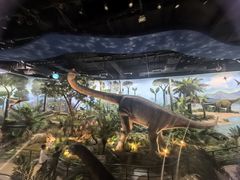 -陕西自然博物馆