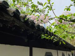 -团结湖公园