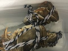 -乡乐园蟹庄·阳澄湖农家乐