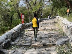 -阳台山自然风景区