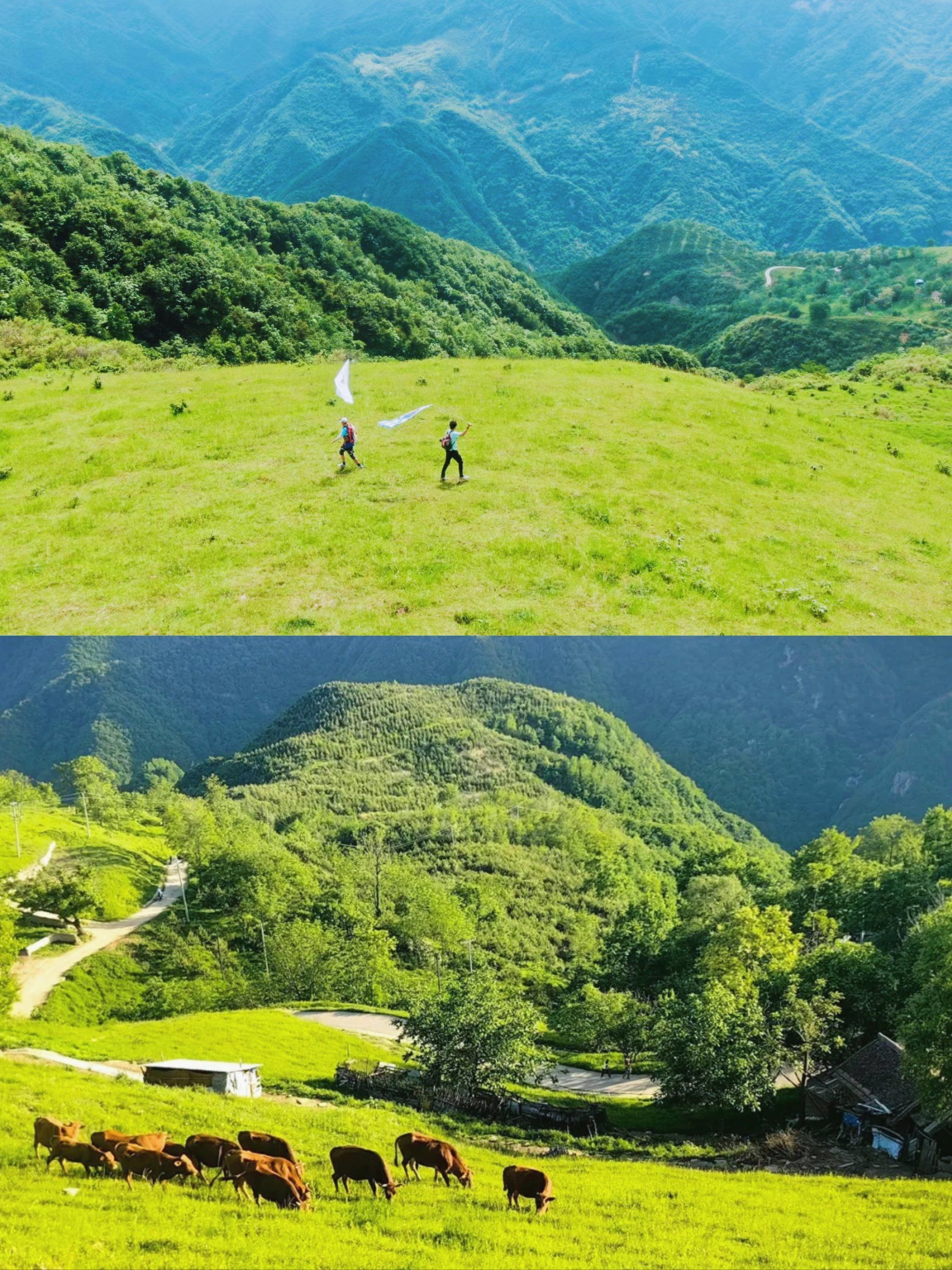 西安1.5h可达秦岭"阿勒泰",流峪高山草甸