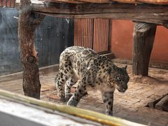 -青藏高原野生动物园