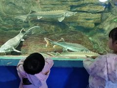 -重庆欢乐海底世界