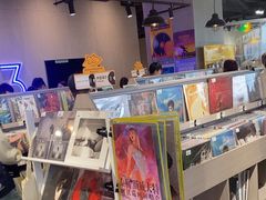 -浣熊唱片店(上海影城店)