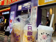 -一只酸奶牛(八一路店)
