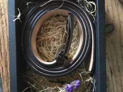 -猛犸手作·皮具·diy团建·礼品定制(新华路店)
