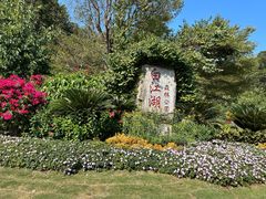 -广州白江湖森林公园