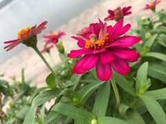 -食膳公园包子铺(烈士公园店)