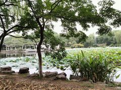 -范蠡湖公园